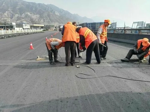 尼玛道路桥梁病害治理